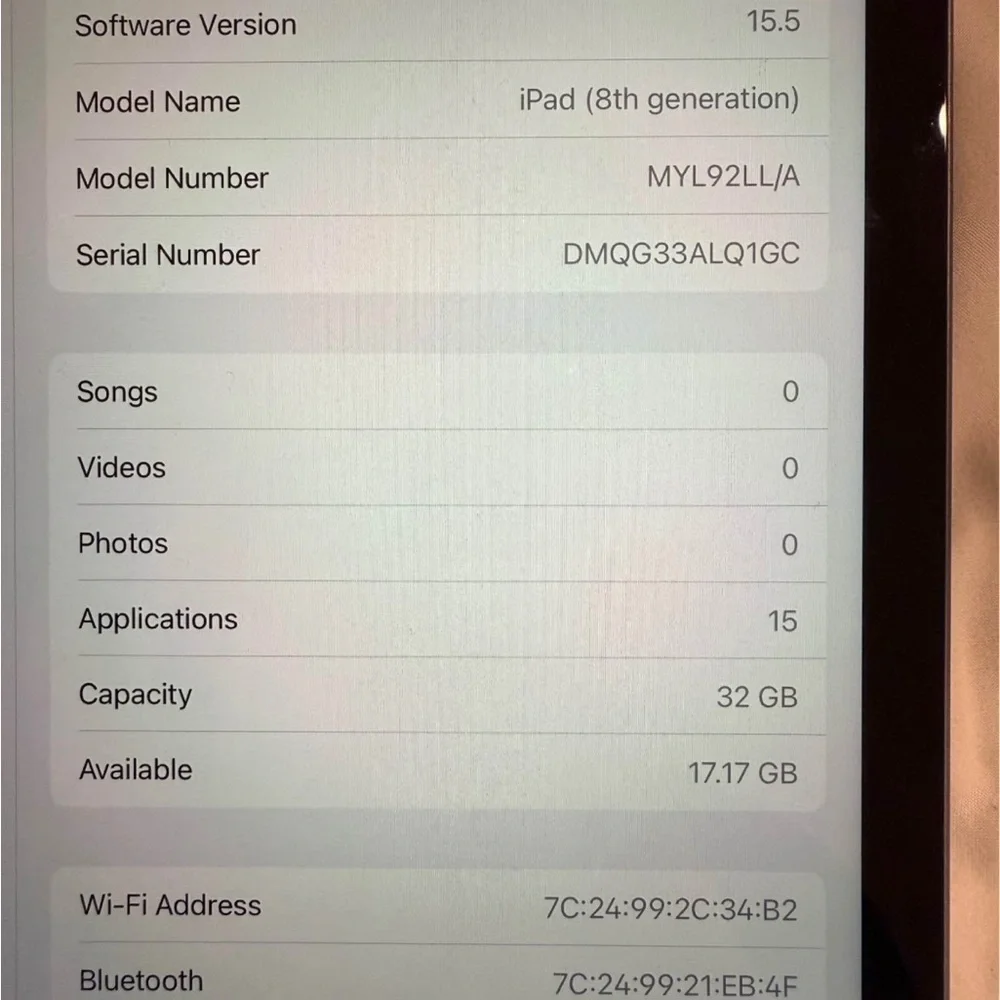 Apple iPad - Silver and Black